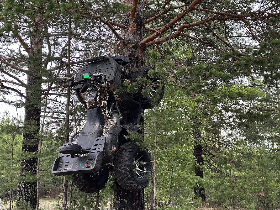 PROMAX 320 DOMINATOR PRO (2025)